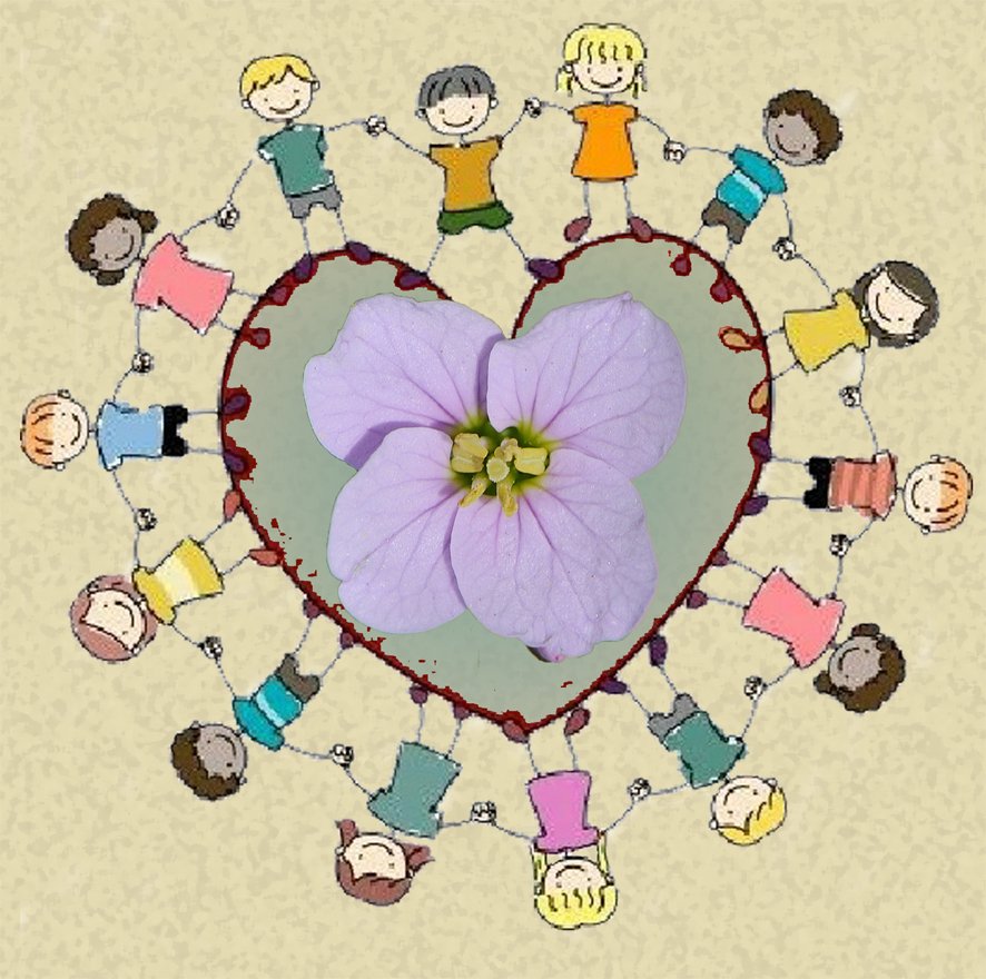 groep afbeelding